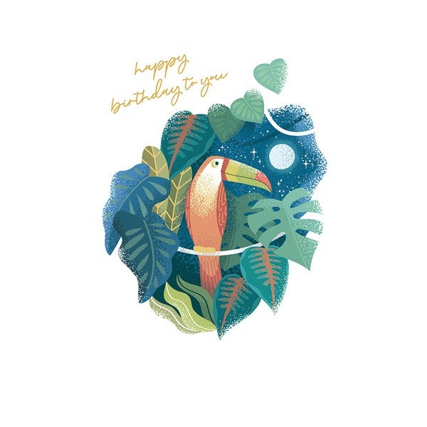 Toucan at Night Birthday Card