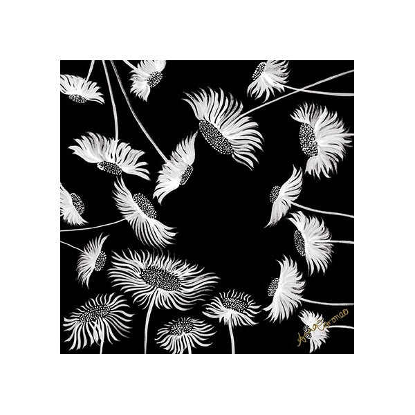 Kythera Daisies Card