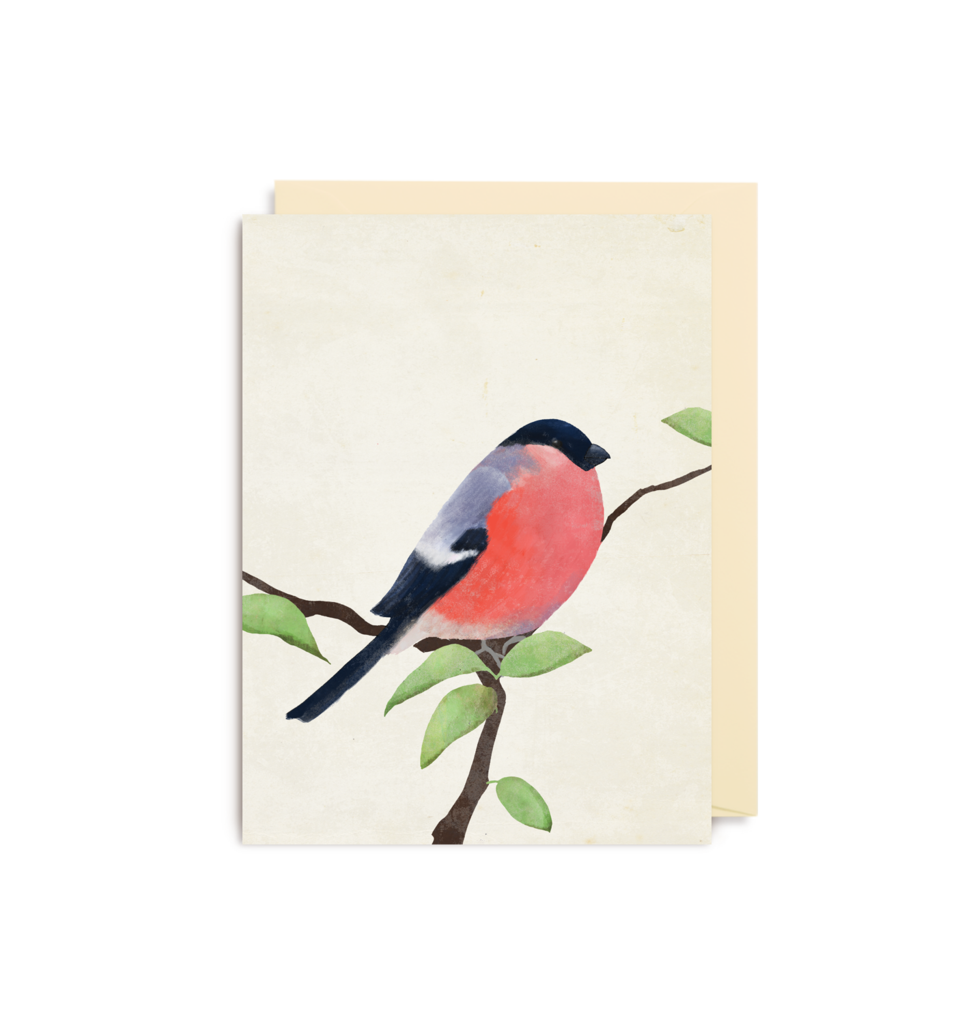 Bullfinch Mini Card