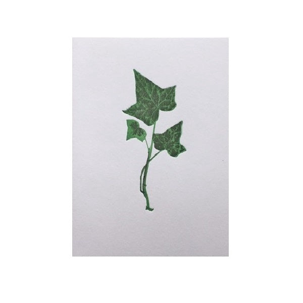 Ivy Card