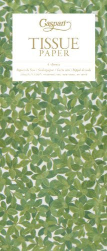 Boxwood Tissue