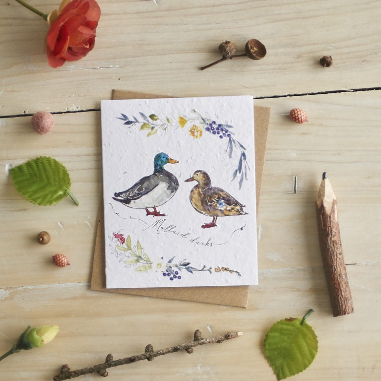 Mallard Ducks & Flowers Seed Card