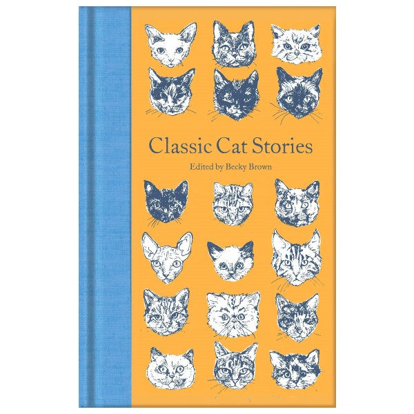 Classic Cat Stories (Macmillan Collection)