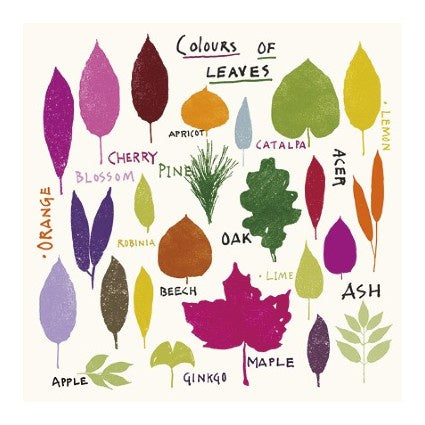 Colours Of Leaves Card