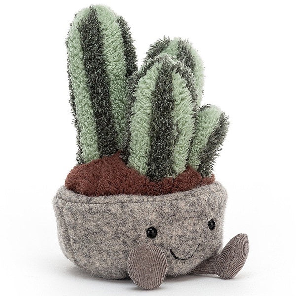 Silly Succulent Columnar Cactus