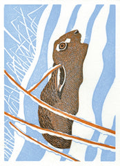 Hare In The Snow Pack of Cards