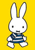 Miffy At The Seaside Card