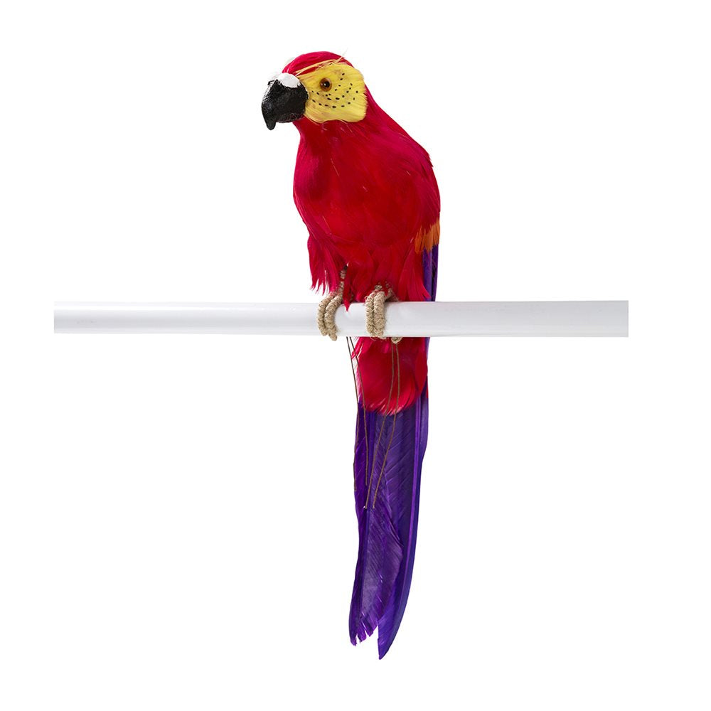 Colourful Parrot Decoration