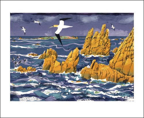 Granite, Gannet, Annet Card