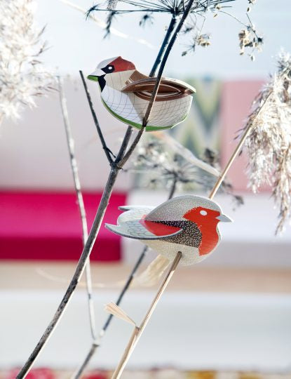 Robin and Sparrow Pop Out Card