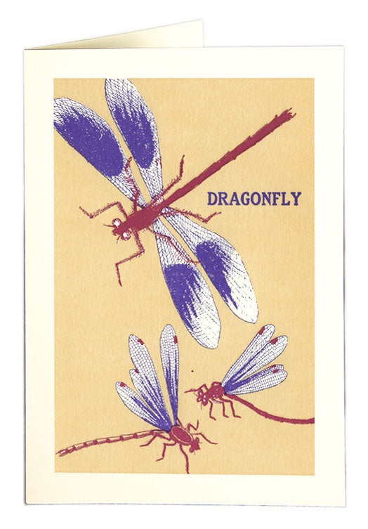 Dragonfly Card