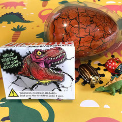 Dinosaur Party Bag