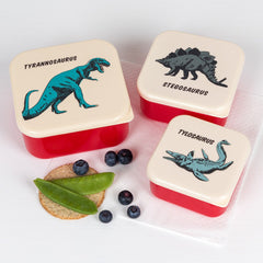 Prehistoric Land Dinosaur Set of 3 Snack Boxes