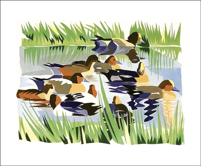 Wigeon By Lisa Hooper Card