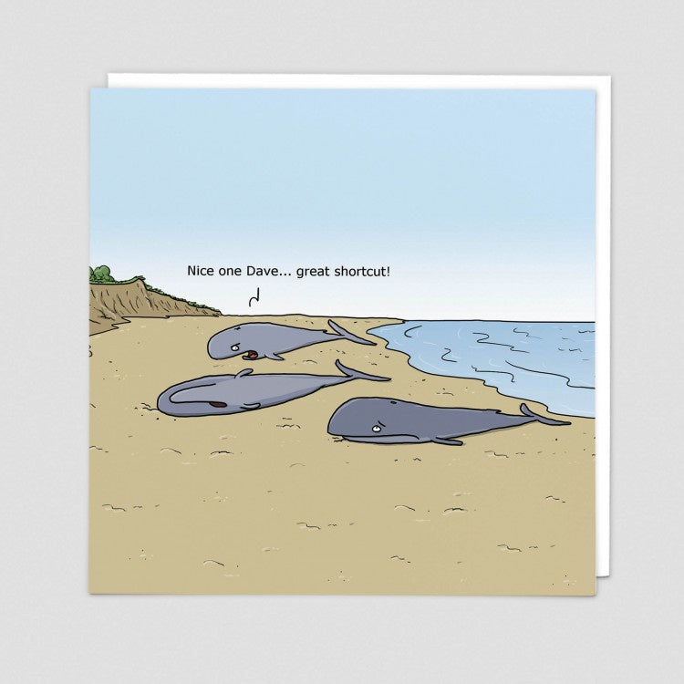 Whale Shortcut Card