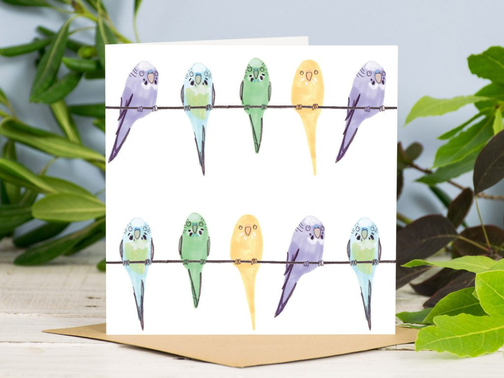 Budgies in a Line Card