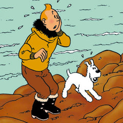The Shooting Star Tintin Poster
