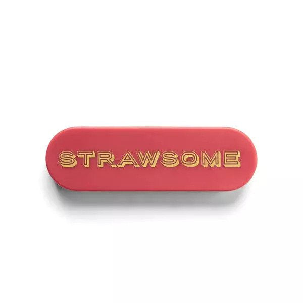 'Strawsome' Single Stainless Steel Portable Straw in Case