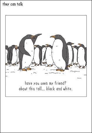 Penguin Hunt Christmas Card
