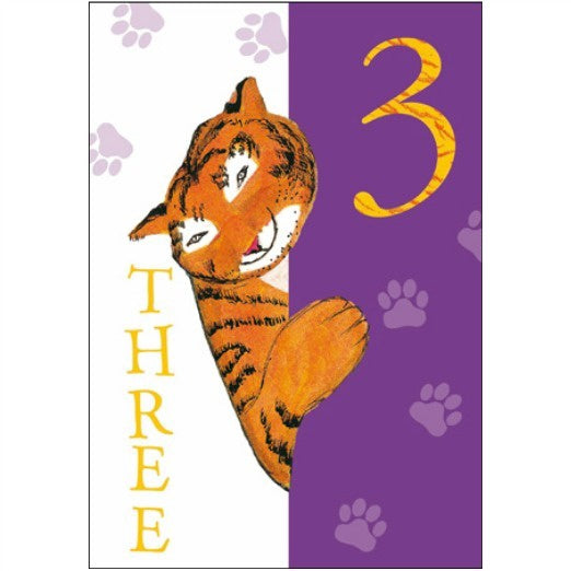 The Tiger who Came to Tea 3rd Birthday Card
