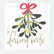 Merry Christmas to my Darling Wife Mistletoe Card