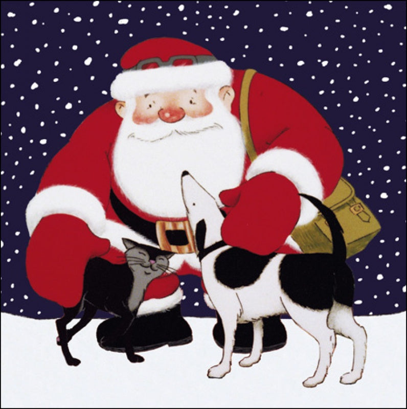 Father Christmas with Pets Charity Pack of 5 Cards