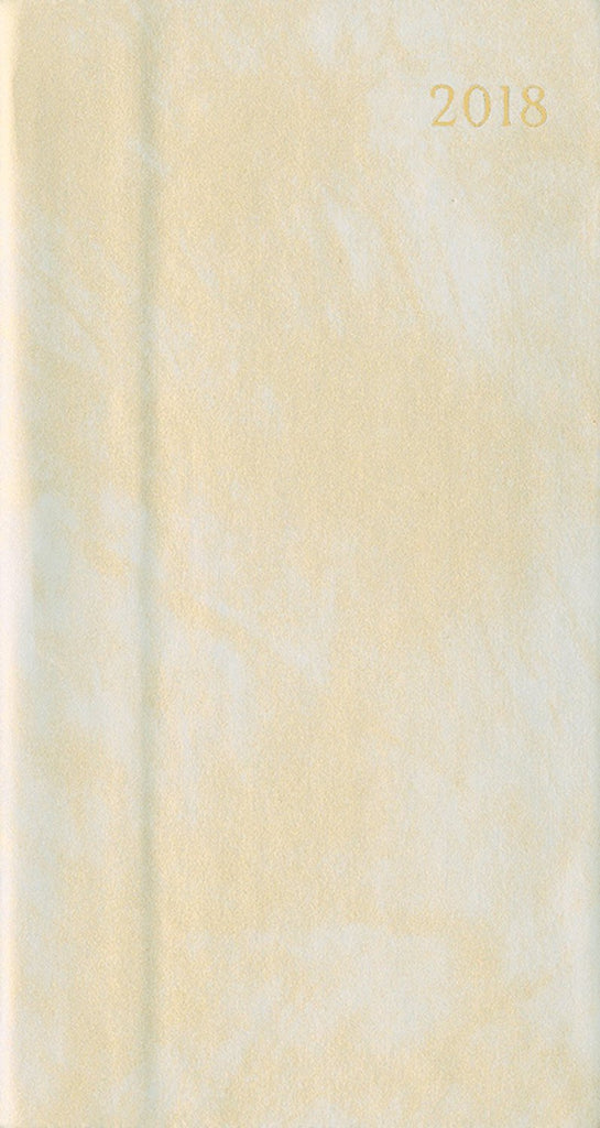 2018 Iridescent Champagne Slim Diary
