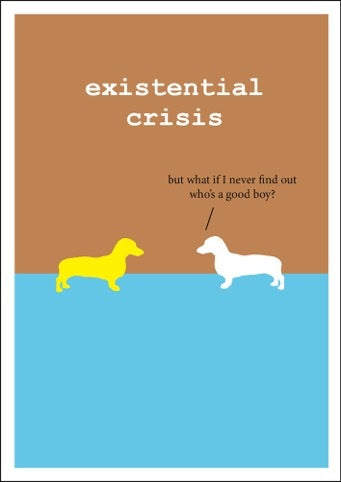 Existential Crisis