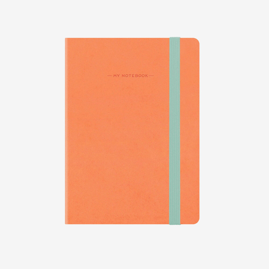 Large Plain Salmon Notebook