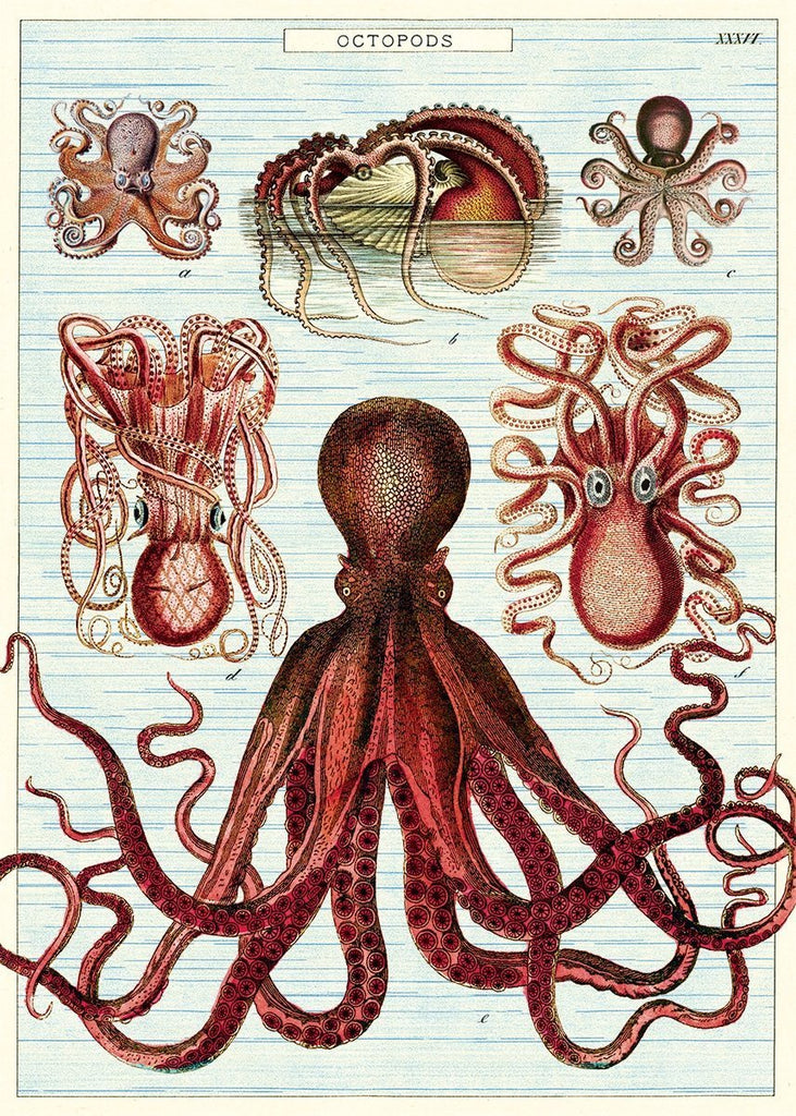 Octopods Sheet Wrap