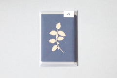 Holly Print Pack of 6 Christmas Cards
