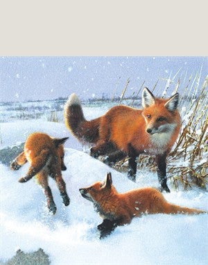Fox In Snow 8 Pack Of Christmas Cards
