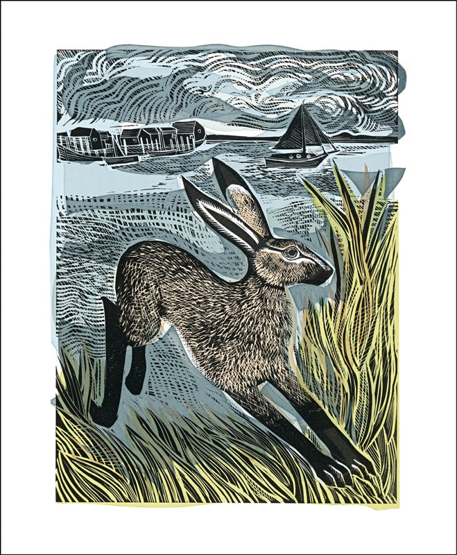 Young Hare Card