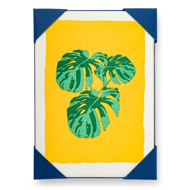 Houseplant Pack of 5 Cards