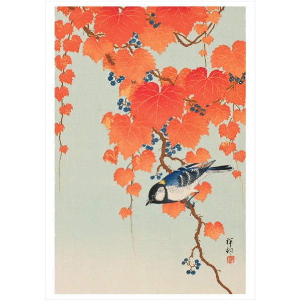 Vine and Japanese Bunting - Ohara Koson Card