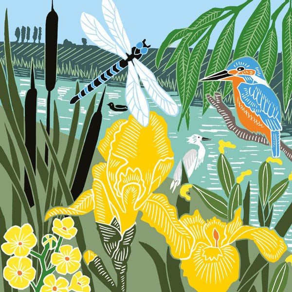 Kingfisher and Dragonfly Card