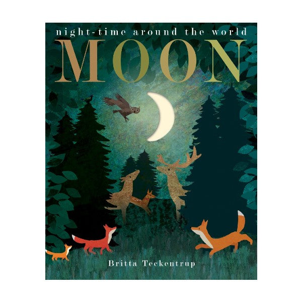 Moon: Night Time Around The World