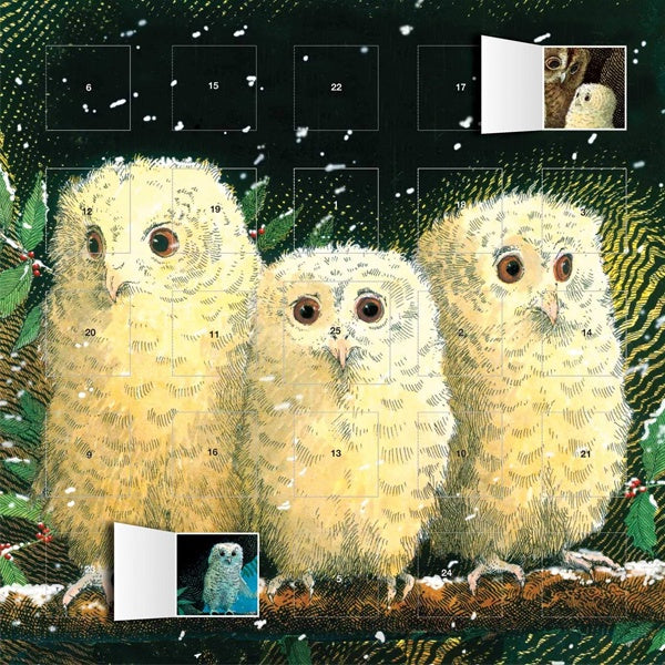 Owl Babies Illustration Advent Calendar