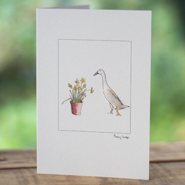 Indian Runner Duck & Daffodils Card