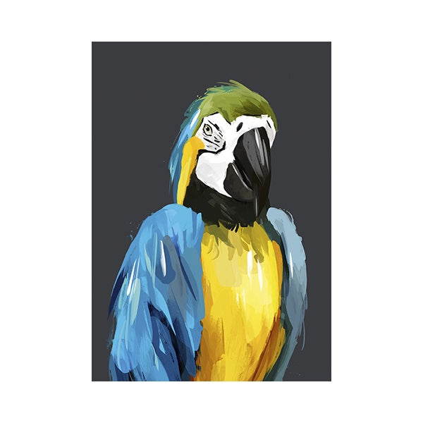 Kota The Parrot Card
