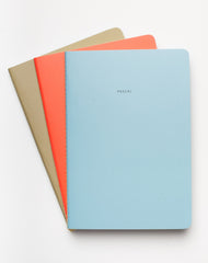 Pessimist Notebooks Set of 3