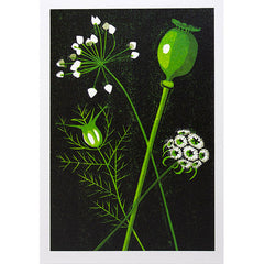 Seed Heads Card