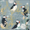 Atlantic Puffins National Trust Birthday Card