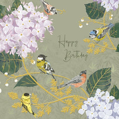Garden Birds National Trust Birthday Card