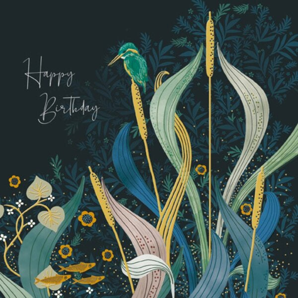 Riverside Kingfisher National Trust Birthday Card