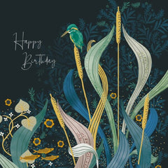 Riverside Kingfisher National Trust Birthday Card