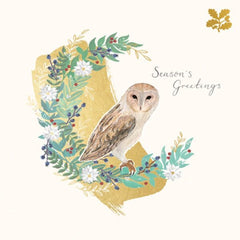 Festive Owl Pack of 5 Cards
