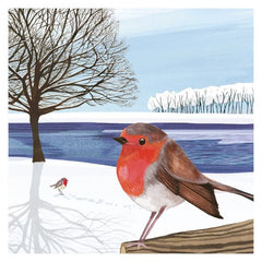 Robins In Snow Christmas Card Pack