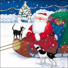 Father Christmas Cat And Dog Christmas Card