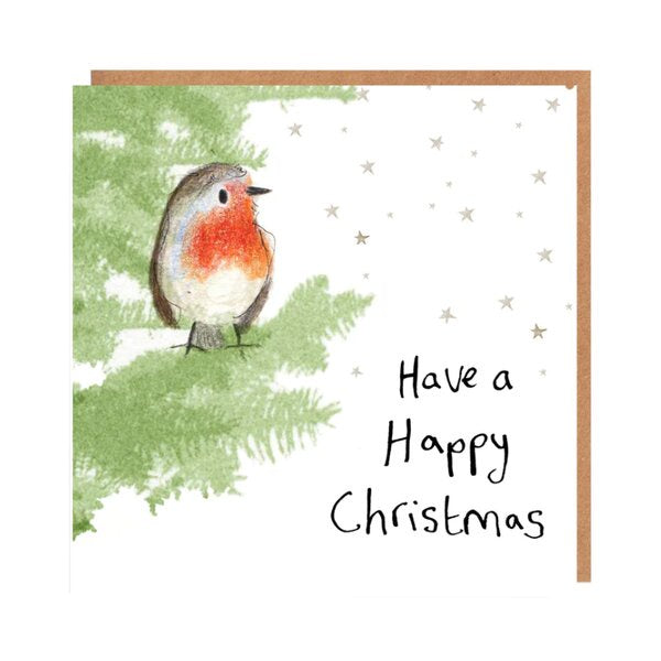 Pack of 5 'John' Robin Charity Christmas Cards